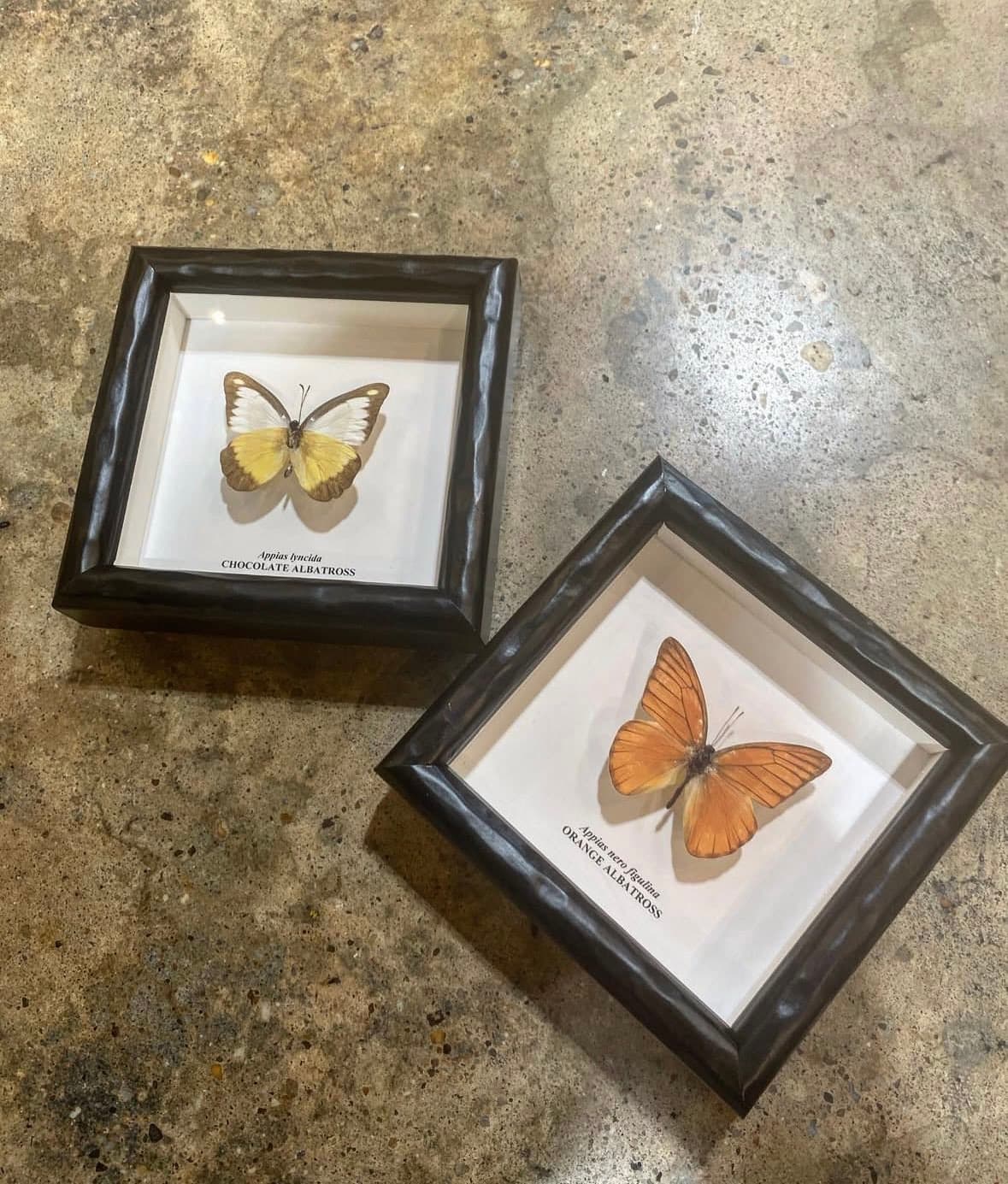 Shadowbox Framing